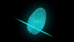 Photo of a Digital Fingerprint